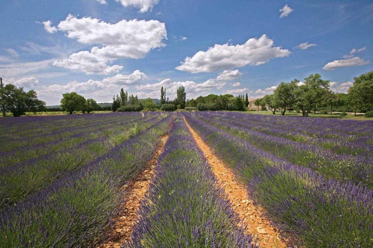 Gites Dans Mas En Pierres Robion en Luberon Zewnętrze zdjęcie