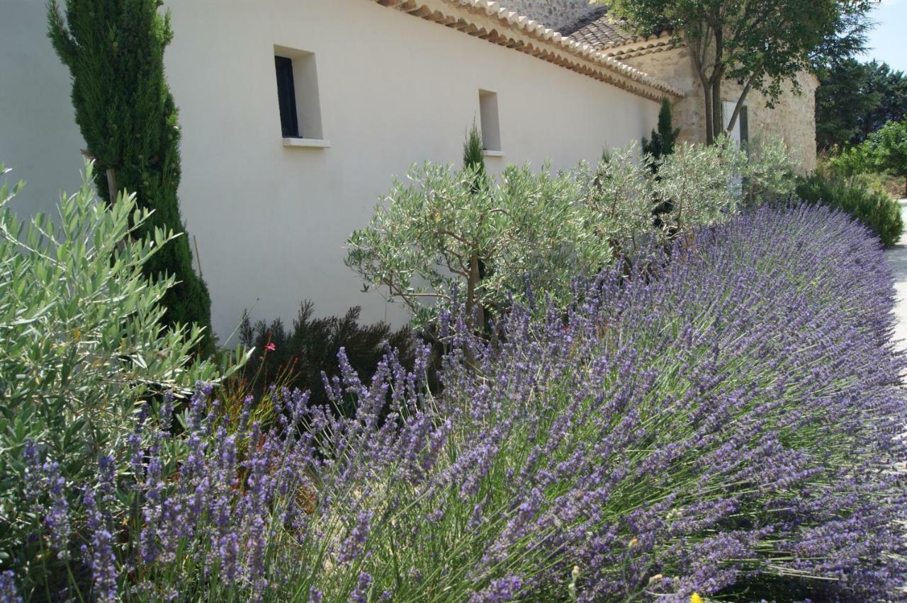 Gites Dans Mas En Pierres Robion en Luberon Zewnętrze zdjęcie